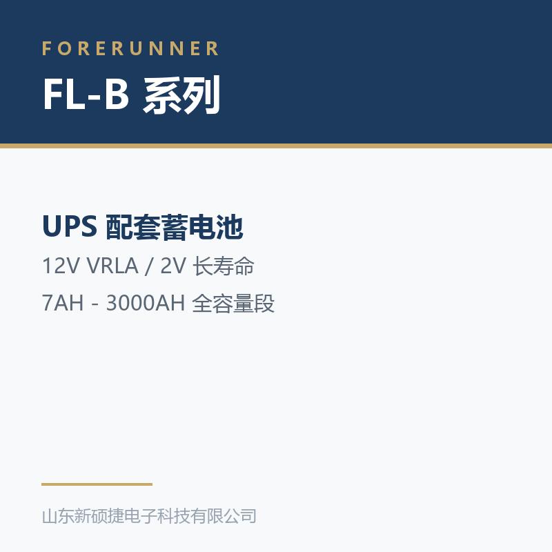 FL-B 系列 12V 阀控式铅酸蓄电池(济南市UPS电源)