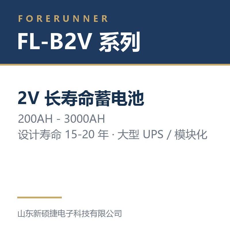 FL-B2V 系列 2V 长寿命蓄电池（济南市UPS电源）